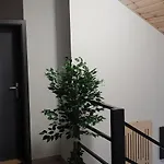 Skarpa Krynica-Zdrój
