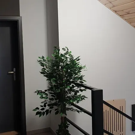 Skarpa Krynica Zdroj